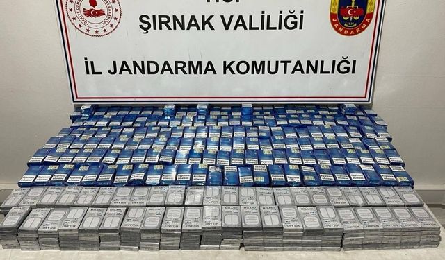 Silopi, Cizre ve Uludere’de kaçakçılık operasyonu: 16 gözaltı