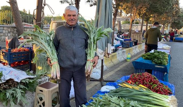 Karaciğer dostu tezgahlardaki yerini aldı