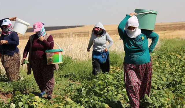 Her 10 kadından 3’ü çalışıyor