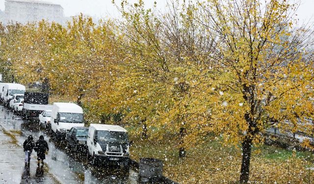 Diyarbakır’da kar tekrar etkili olmaya başladı