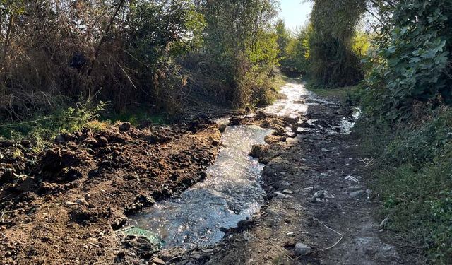 Diyarbakır’dan Hevsel ve Dicle’ye zehir akıyor!