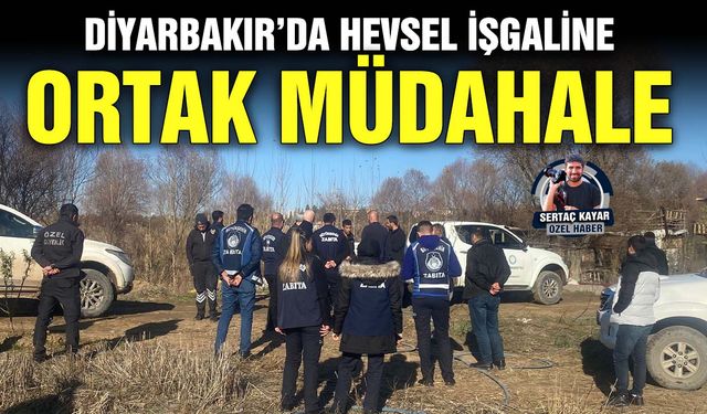 Diyarbakır’da Hevsel işgaline ortak müdahale