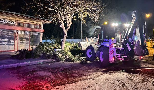 Kuvvetli fırtına ağaçları yerinden söktü