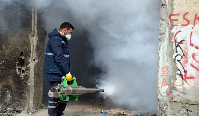 Diyarbakır’da kapsamlı kışlak çalışması başlatıldı