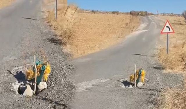 Diyarbakır köy yolunda garip bir levha: 1 yıldır çözüm bekliyorlar