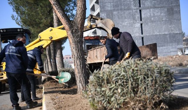 Diyarbakır Bismil’de yeşil dönüşüm başladı