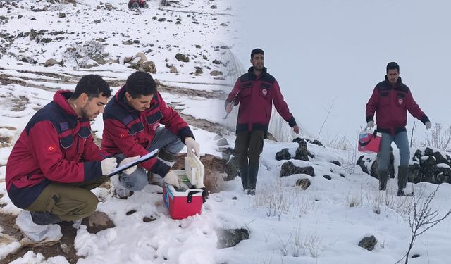 Dersim’de veteriner hekimlerin şapla mücadelesi sürüyor