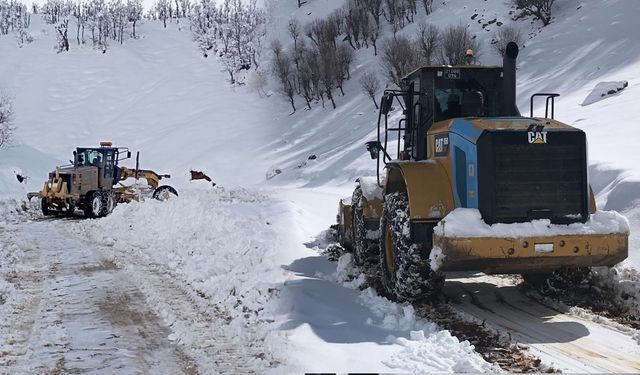 Diyarbakır’ın 5 ilçesine 62 ekiple müdahale