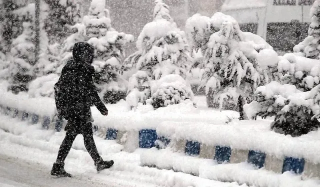 Valilikler peş peşe duyurdu! Okullara kar tatili