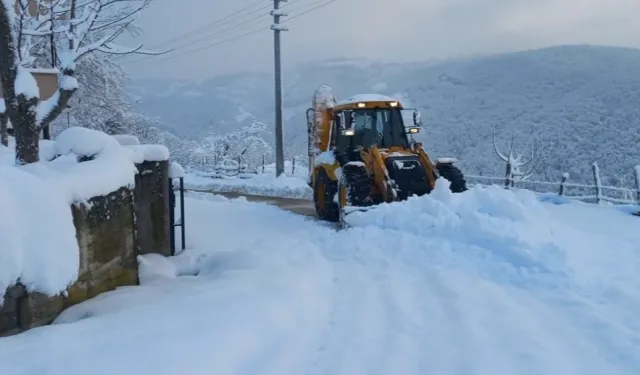 Güneydoğu'da 523 yerleşim yerine ulaşım sağlanamıyor