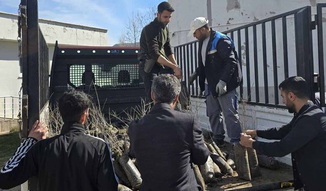 Diyarbakır’da pikaplarla gelip Cuma sonrası ücretsiz dağıttılar