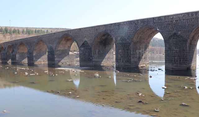 Diyarbakır’da korkutan manzara!  Dicle’de toplu balık ölümü