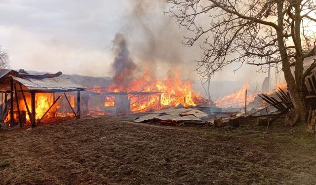 Kastamonu'da yangın büyüyor! Çok sayıda ev ve ahır alevlere teslim oldu