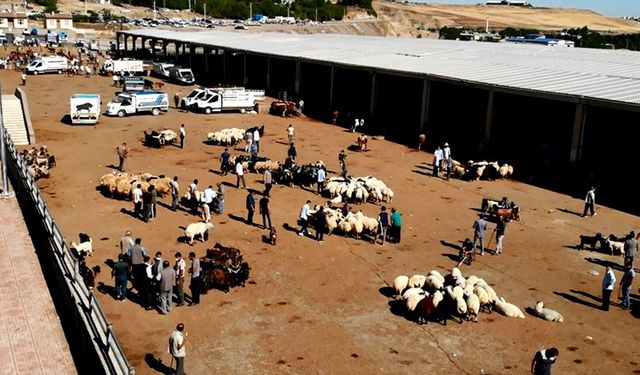 Diyarbakır, Türkiye’nin hayvan zengini listesinde