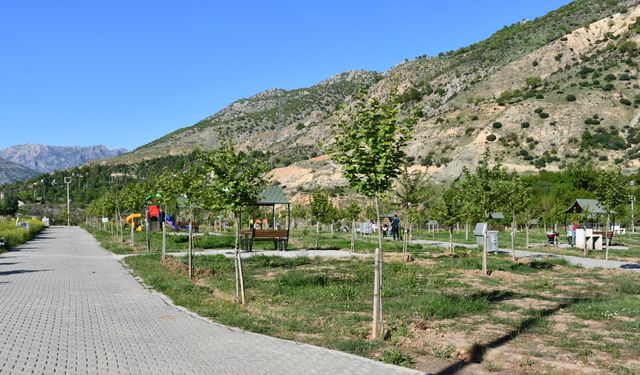 Batman'da 60 dönüm üzerine mesire alanı yapıldı