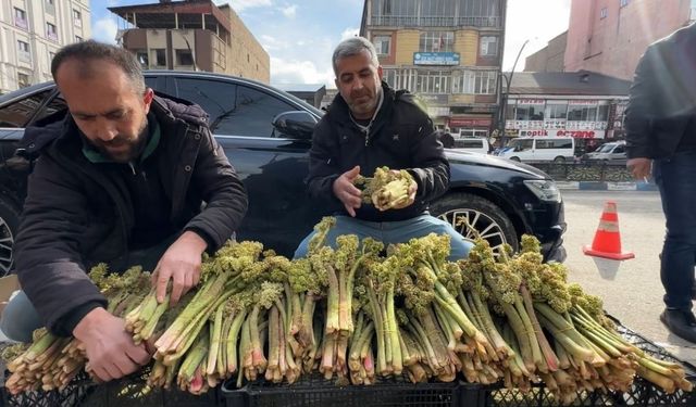 Merakla bekleniyordu! Tezgahlardaki yerini aldı: Destesi 100 lira