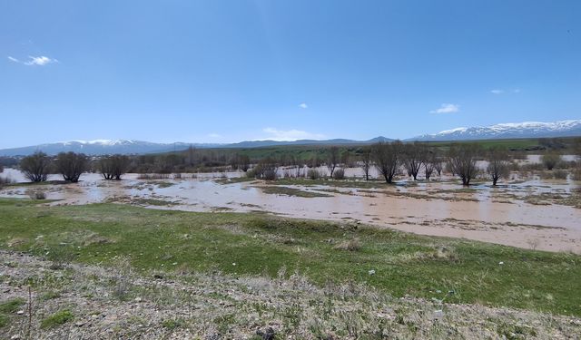 Ağrı'da yağmur felaketi; Murat Nehri taştı