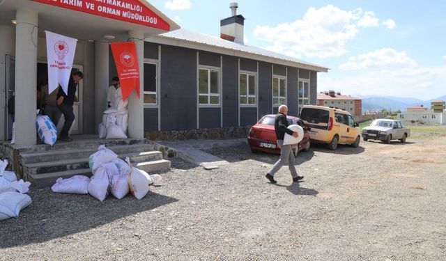 Bingöl’de yüzde 75 hibeli kuru fasulye tohumu dağıtılıyor