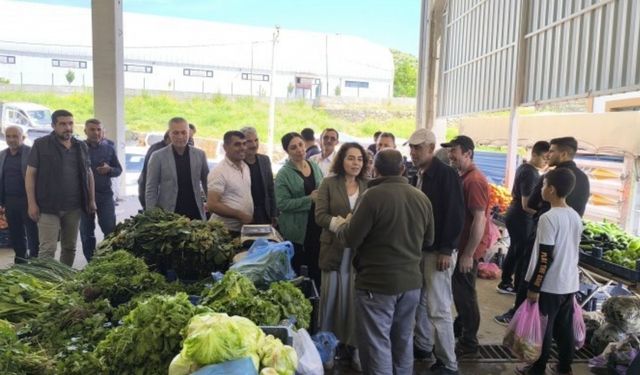 DEM’li vekillerden Kaytan ve Altun için Diyarbakır’da yapılacak anmaya çağrı