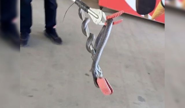 Diyarbakır’daki markette yılan paniği
