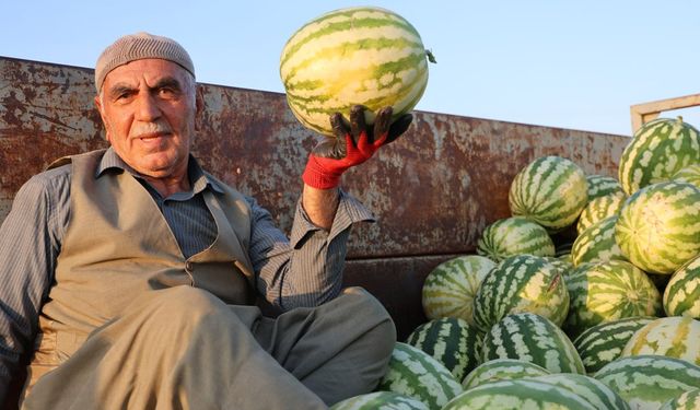 Diyarbakır'da hangi meyve ve sebzeler yetişiyor?