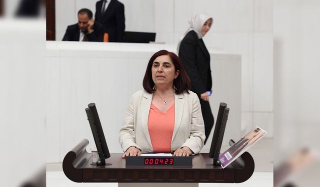 Diyarbakır’da krize neden olmuştu, Meclis’e taşındı
