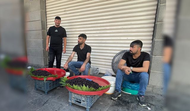 Diyarbakır’ın şifa kaynağı tezgahlardaki yerini aldı