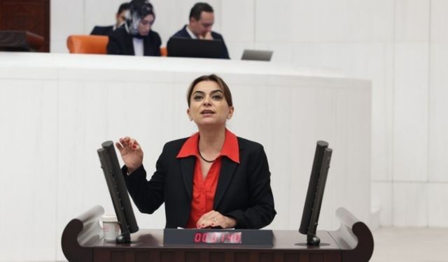 DEM Parti ile AK Parti görüştü: Koçyiğit, görüşmenin içeriğini açıkladı