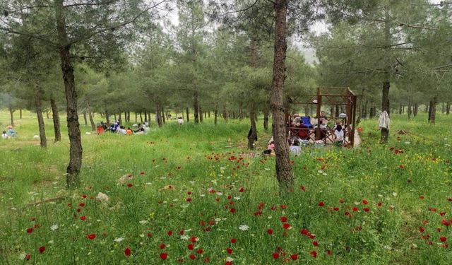 Komşudaki güzellik Diyarbakır’a göz kırpıyor