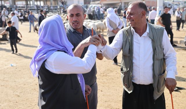 Kurban Bayramı öncesi sıkı pazarlık başladı