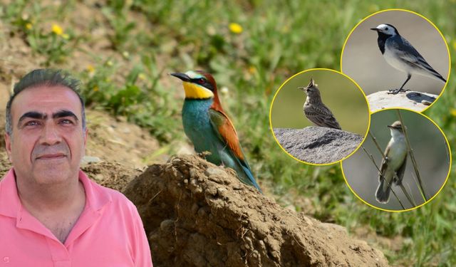 Kuşların rota değiştirmediği kent: DİYARBAKIR