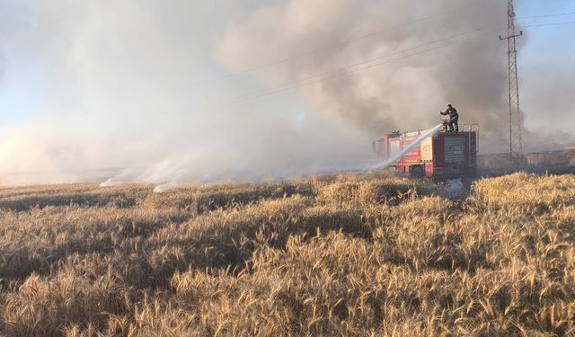 Mardin'de felaket; 155 dönüm buğday tarlası kül oldu