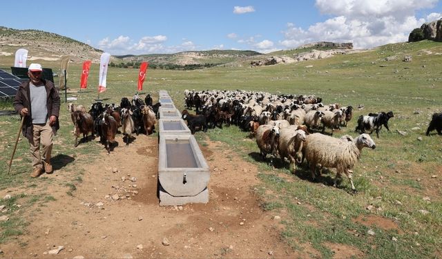 Mardin'de meralar güneş enerjisiyle suya kavuşturuluyor