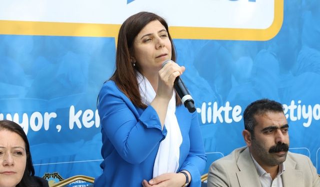 Serra Bucak açıkladı: Diyarbakır'daki 'mangal dumanı' sorunu böyle çözülecek!