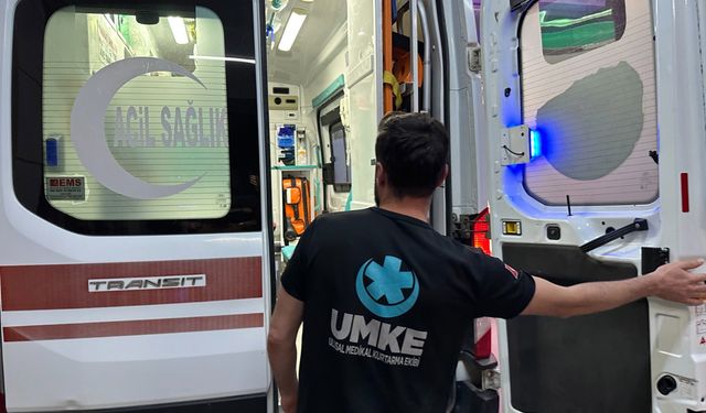 Sokak köpeği dehşet saçtı