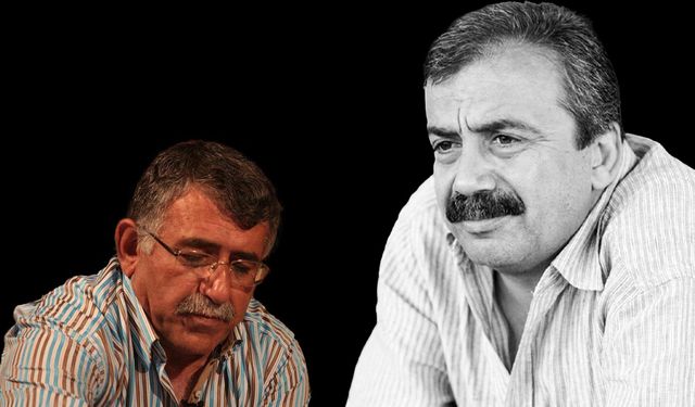 Lice’den sonra Sırrı Süreyya için feryat etti