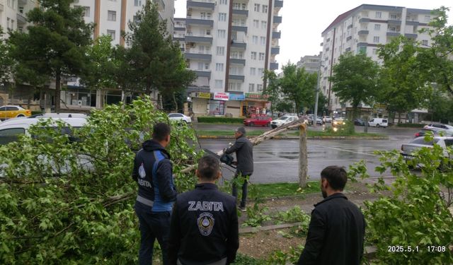 Diyarbakır’ı şiddetli fırtına vurdu