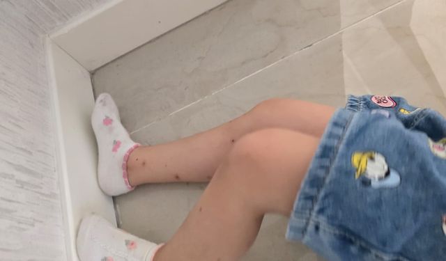 Diyarbakır'da vatandaşın çilesi: Yara bere içinde kaldık!