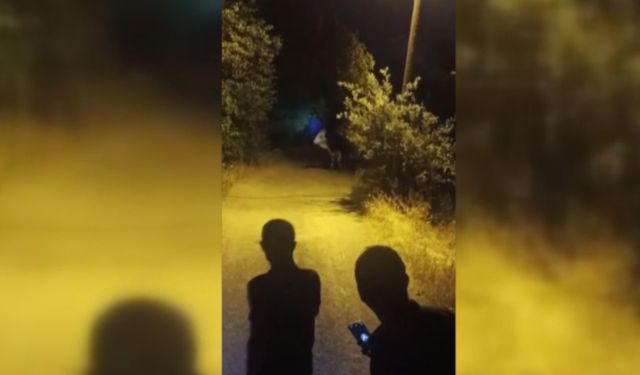 Zincirlerini koparan boğa ortalığı birbirine kattı!