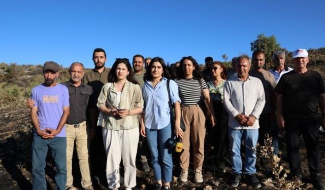 Diyarbakır’ın Dicle ilçesindeki yangın bölgesinde inceleme