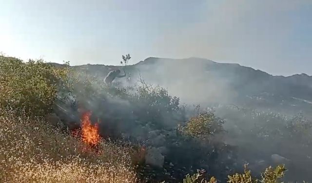 Diyarbakır Dicle’de yangın! Köylüler müdahale ediyor