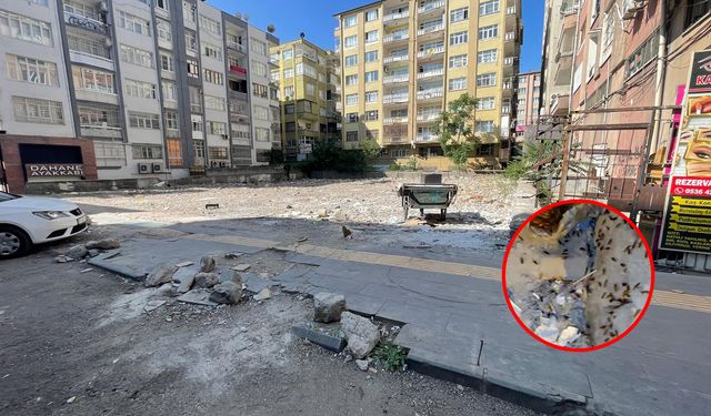 Diyarbakır’da esnafın “istila” isyanı!