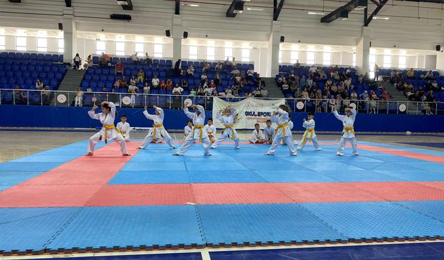 Diyarbakır'da minik karatecilerin zorlu sınavı