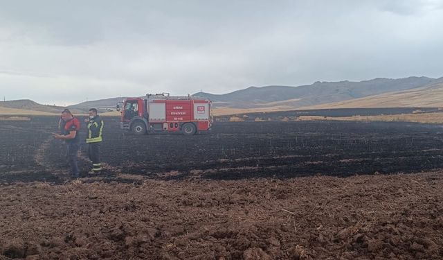 Siirt'te yıldırım düşmesi nedeniyle ekili arazide yangın çıktı