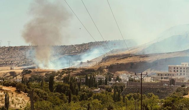 Silopi'de anız yangını, 15 dönümü sardı