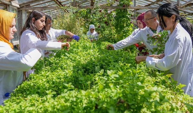 Diyarbakır'da kadınlar “Sabundan Kaleler” ile dünya pazarı yolunda