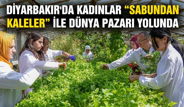 Diyarbakır'da kadınlar “Sabundan Kaleler” ile dünya pazarı yolunda