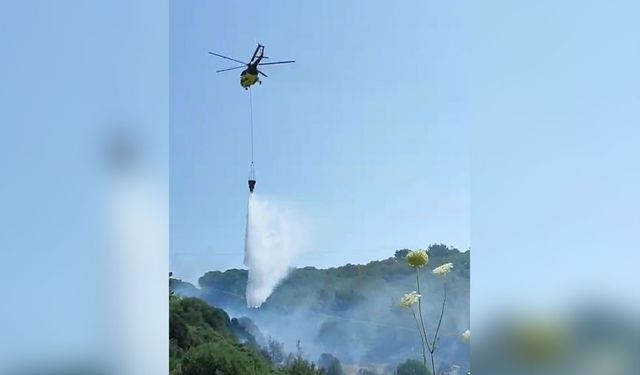 Kuşadası'nda orman yangını