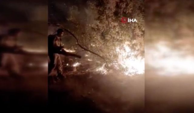 Diyarbakır'da Lice’den sonra Ergani’de orman yangını