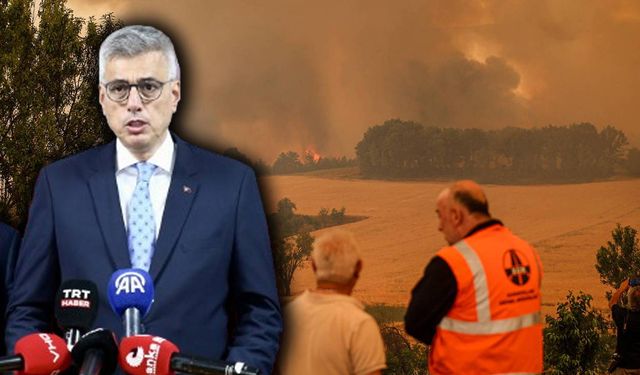 Bakan Memişoğlu, acı tabloyu açıkladı